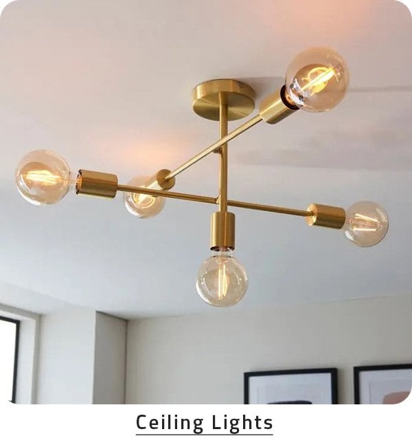 Ceiling Lights